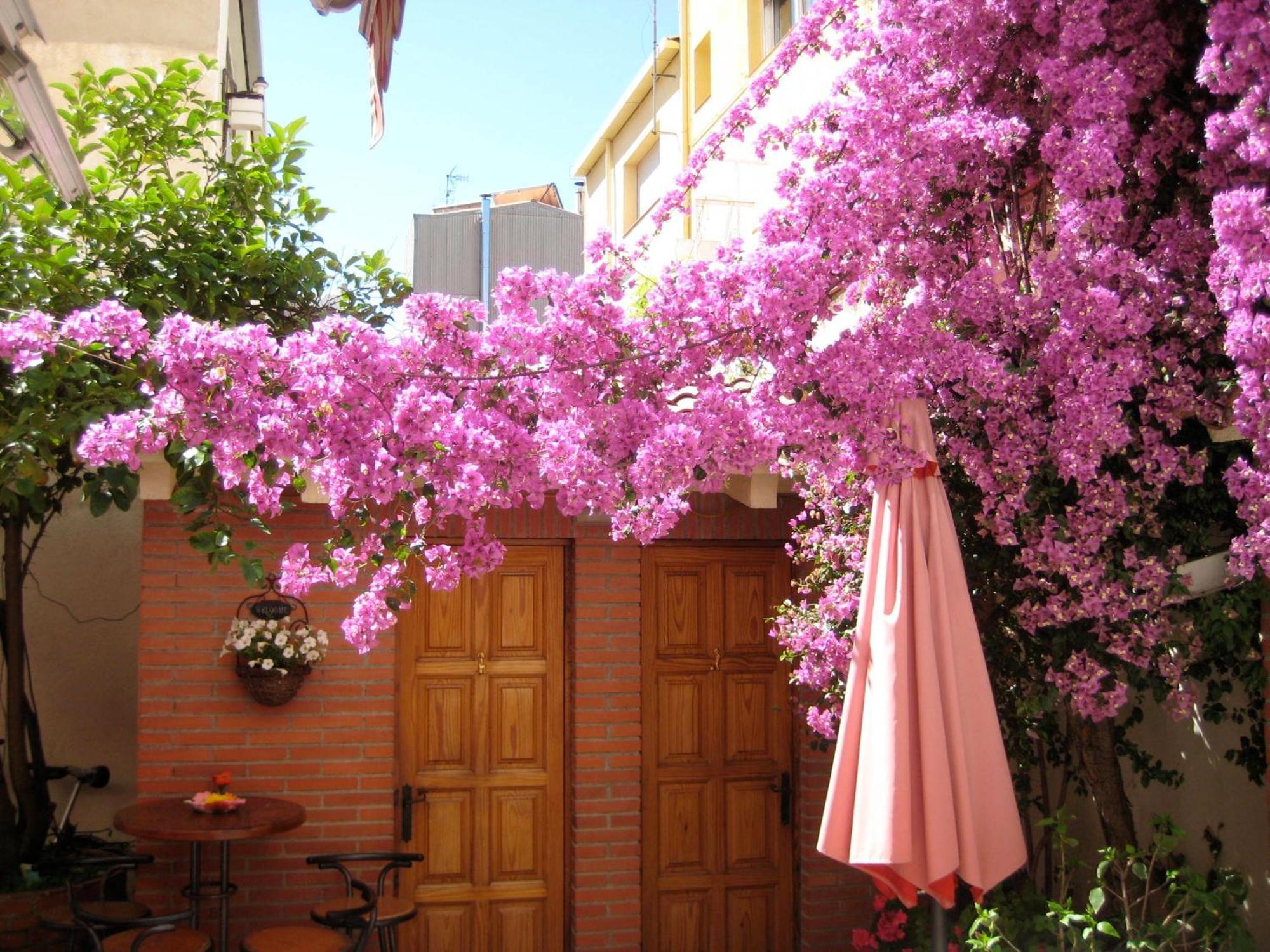 Pension Casa Austria Calella Extérieur photo
